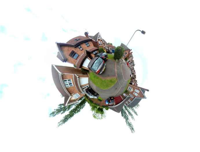 A project logo image of flowers growing containing the words - Developing your writing - Preparation - Review - Perseverance.